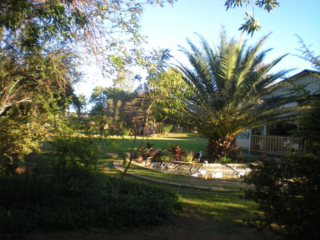 Hotel Akwela Guest Farm Bloemfontein Esterno foto