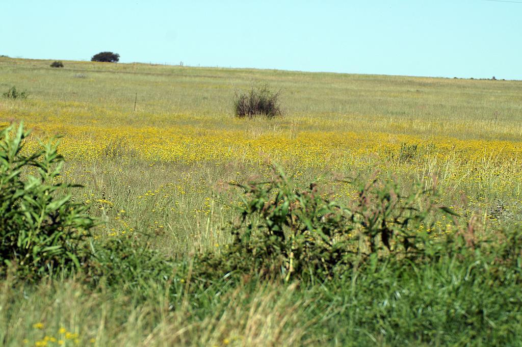 Hotel Akwela Guest Farm Bloemfontein Esterno foto