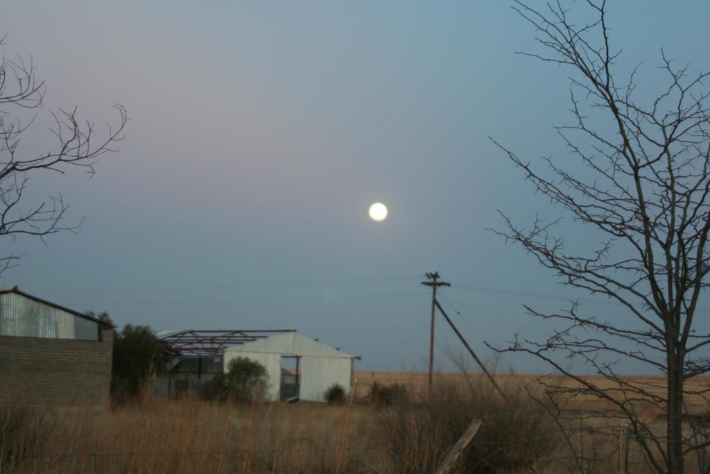 Hotel Akwela Guest Farm Bloemfontein Esterno foto