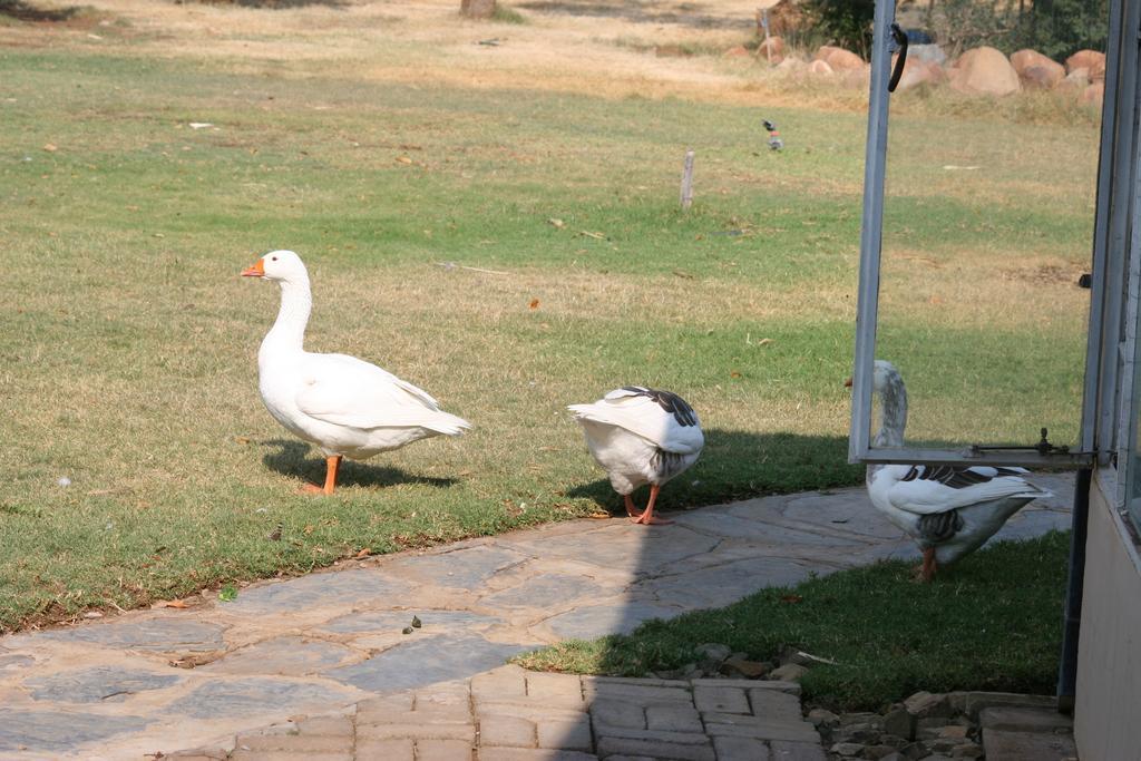 Hotel Akwela Guest Farm Bloemfontein Esterno foto